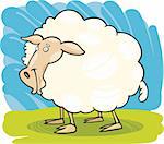 Cartoon illustration of farm sheep