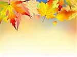 Colorful autumn leaves background. EPS 8 vector file included
