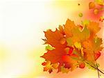 Autumn leaves, shallow focus. EPS 8 vector file included