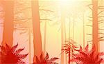 vector enchanted forest in warm colors. Lots of ferns in the foreground with sun shining through the canopy