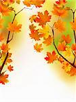 Autumn maple leaves in sunlight. EPS 8 vector file included