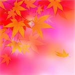 Autumn leaves background. vector illustration