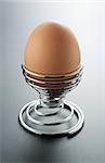 Egg placed in a metal spiral egg-holder on gray gradient background