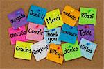 Thank you in sixteen languages - colorful sticky notes with handwriting on cork bulletin board