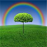 Rainbow tree in a meadow