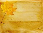 Grunge background with autumn leaves. Paper texture