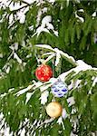 Christmas ornaments on a branch of a pine