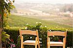 Patio Chairs and Foliage Overlooking the Country.