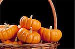 Small orange pumpkins symbolising autumn holidays and used in decorative works.