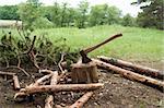 Ax and stump in the clearing in woods