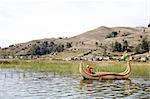 The Uros, an indigenous people predating the Incas, live on Lake Titicaca upon floating islands fashioned from this plant. The Uros also use the Totora plant to make boats (balsas) of the bundled dried plant reeds.