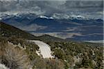 Parc National de Great Basin, Nevada, USA