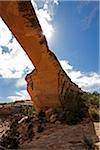 Natural Bridges National Monument, Utah, USA