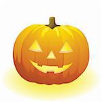 vector halloween pumpkin vegetable fruit isolated on white background