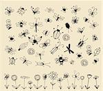 Insect sketch collection for your design
