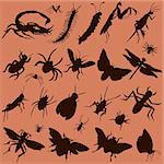 vector set of various bugs