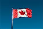 A Canadian flag waves in a strong breeze in front of a clear blue sky