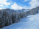 Snow covered ski piste surrounded by trees on sunny day, Combloux French alps France