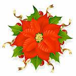 Christmas flower, holly and golden ribbons