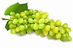 illustration of bunch of green grapes on isolated background