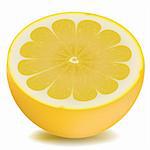 illustration of half piece of lemon on isolated background