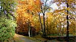 Autumnal trees at park Wilhelmshöhe in Kassel, Germany