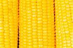 Extreme close up of yellowe corn cobs