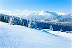 Winter Goverla Mount view and snow surface on mountainside in front.  (Carpathian Mountains, Ukraine)