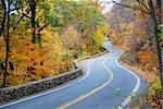 Winding road in Autumn woods with colorful foliage tree in rural area.