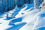 Snowdrifts on winter snow covered mountainside and fir trees on hill top