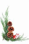 Christmas border with cones and stars isolated on white background. Shallow dof