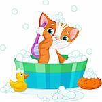 Very cute  cat having a soapy bath