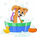 Very cute  dog having a soapy bath