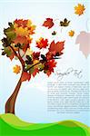 illustration of autumn maple tree