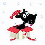 Cute christmas black doggie in red box. Vector Illustration.