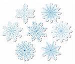 snowflake illustrations. A vector illustration
