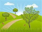 Summer landscape with a trees. Vector illustration.
