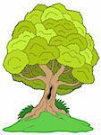Leafy tree on hill - vector illustration.