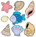 Various shells and fish collection - vector illustration.