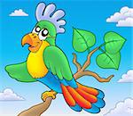 Cartoon parrot on branch - color illustration.