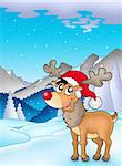 Christmas theme with cute reindeer - color illustration.