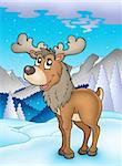 Winter theme with reindeer - color illustration.