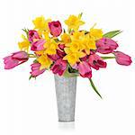 Tulip and daffodil flowers in a distressed aluminum vase, over white background.