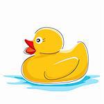 illustration of duck in water on white background