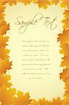 illustration of autumn card on white background