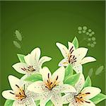 Big summer bunch of white lilies and plants