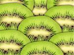 Abstract green background with raw kiwi slices. Close-up. Studio photography.