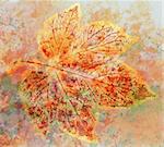Abstract background, watercolor: leaves, hand painted on a paper. Pink, red, orange, yellow, green