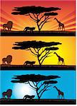 vector illustration of african landscapes with animals