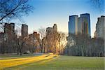 Central Park, New York City, with skyscrapers,snow and sunset